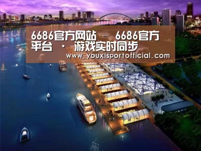 案例展示八