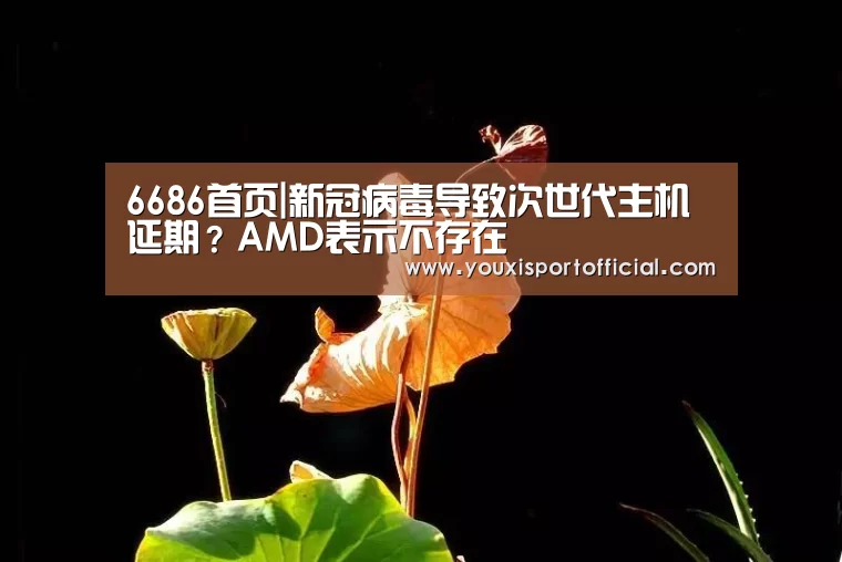 6686首页|新冠病毒导致次世代主机延期?AMD表示不存在(图3) 6686体验