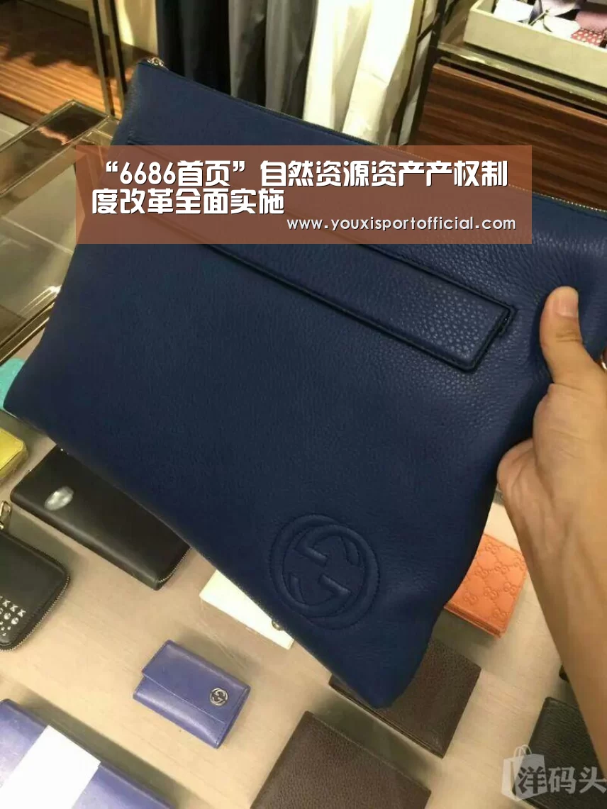 “6686首页”自然资源资产产权制度改革全面实施(图1) 6686游戏